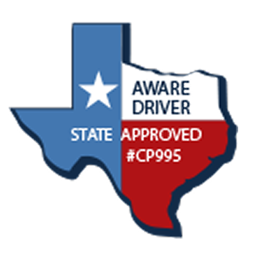 Online Driving Course logo