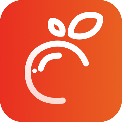 Databerry logo