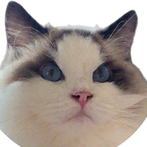 Hacker News AI Detector logo