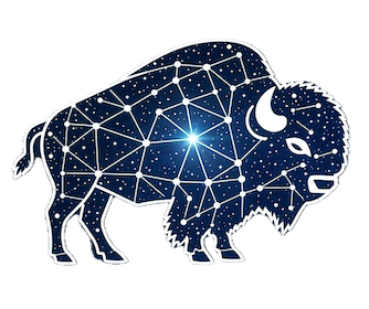 Bisonary logo
