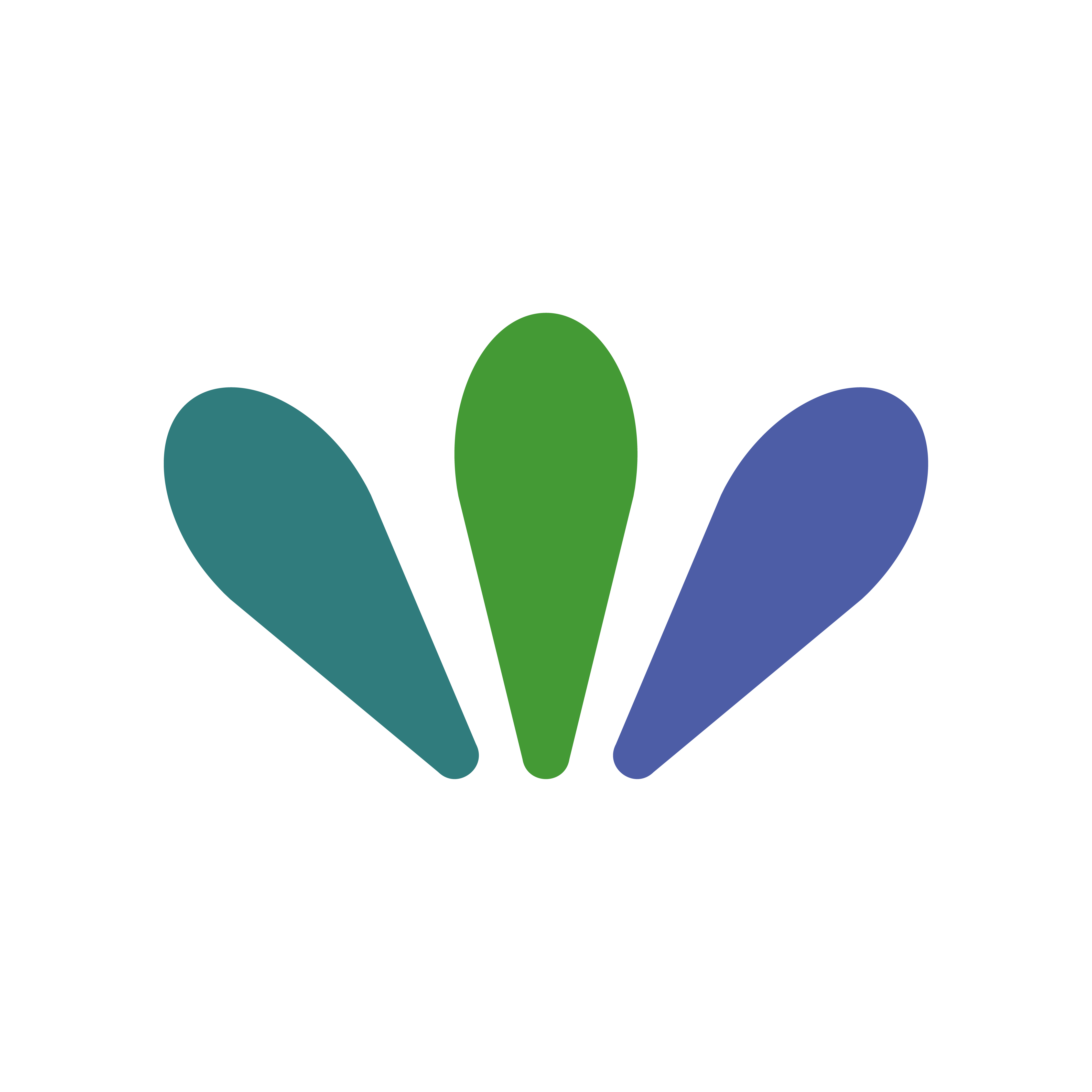 Surveva logo
