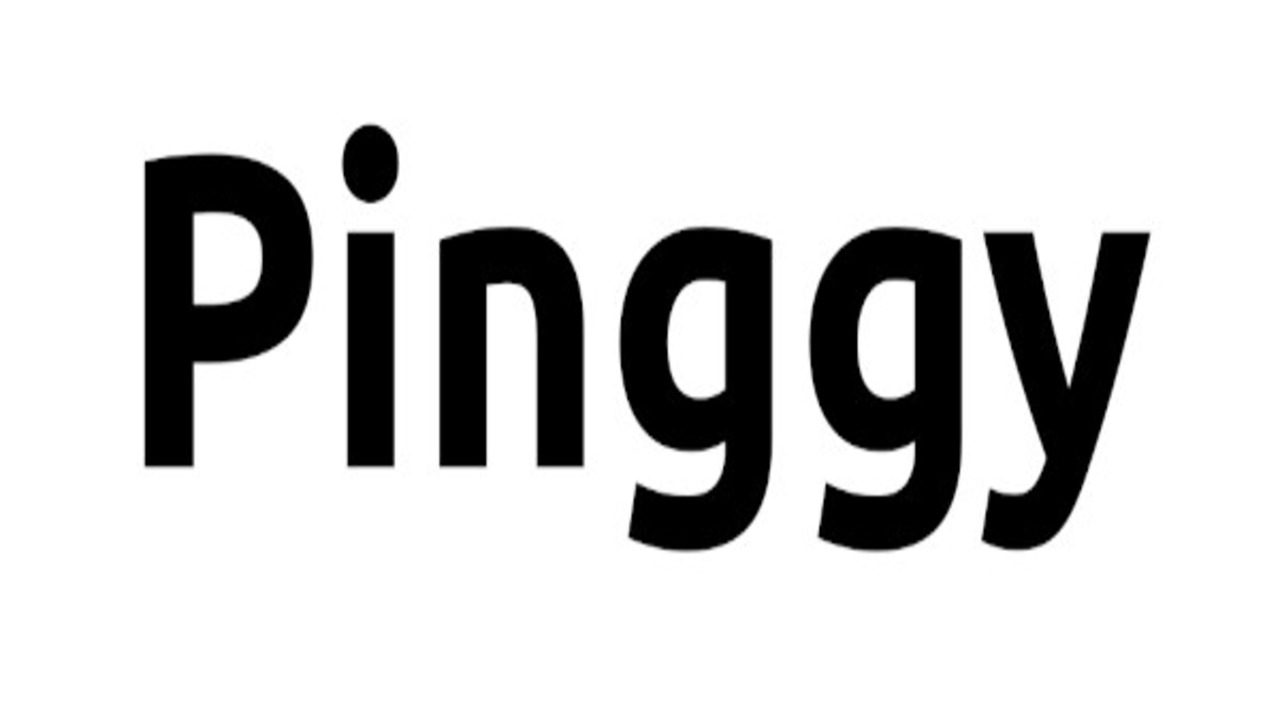 Pinggy logo