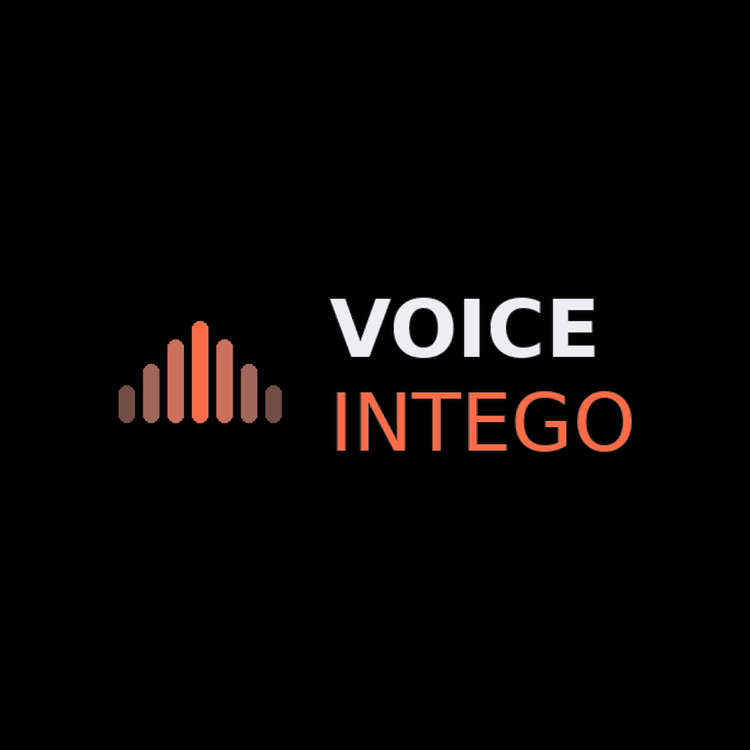 Voiceintego logo
