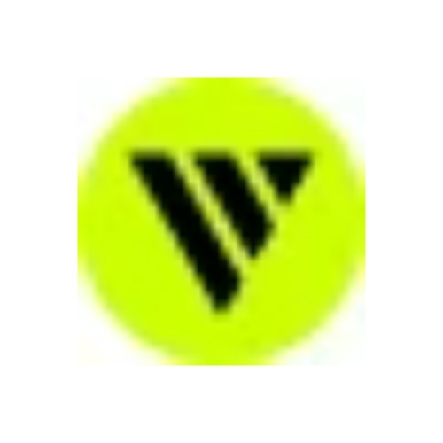 Videowise logo
