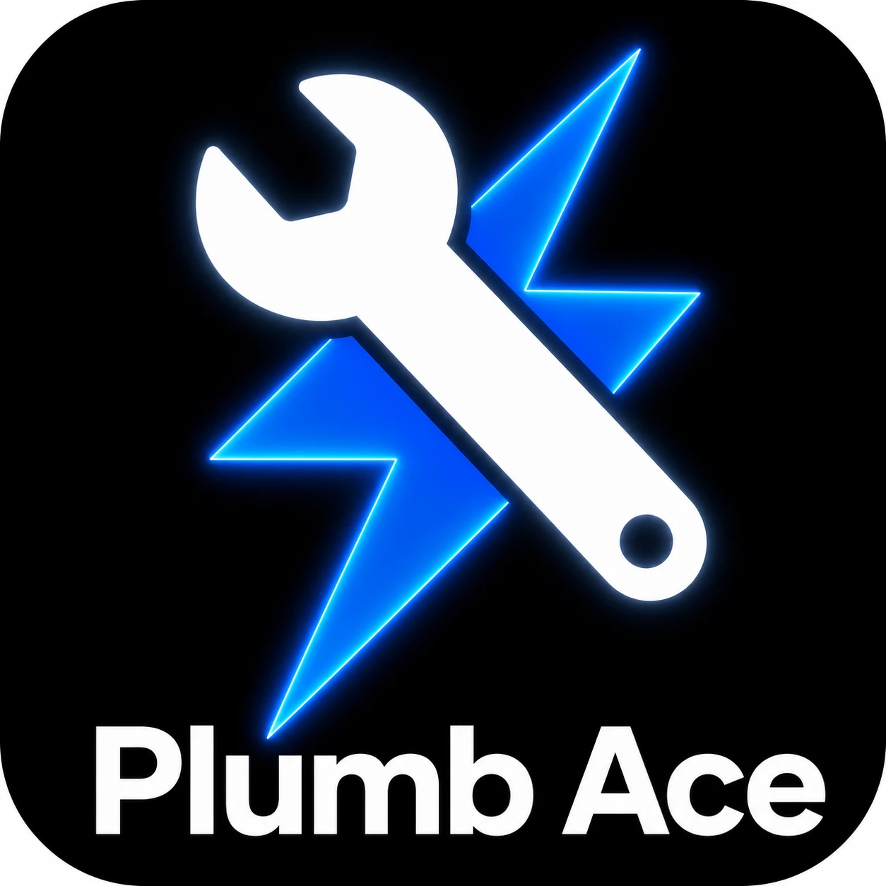 Plumb Ace logo