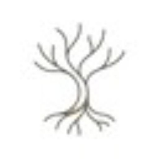 Roots - Calm Mind Wisdom logo