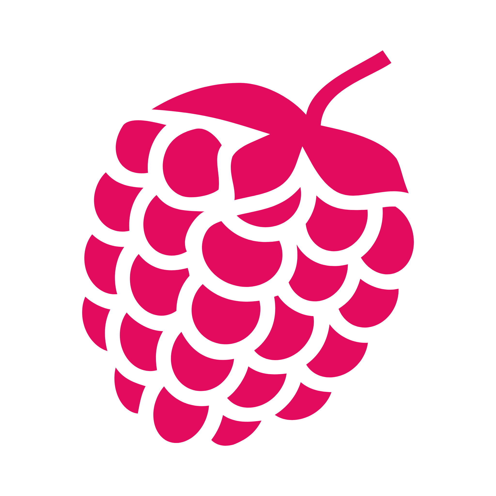 Lamponi logo