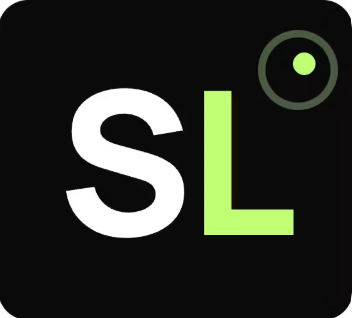Staffing Leads logo