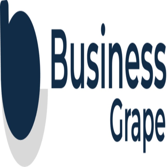BusinessGrape logo