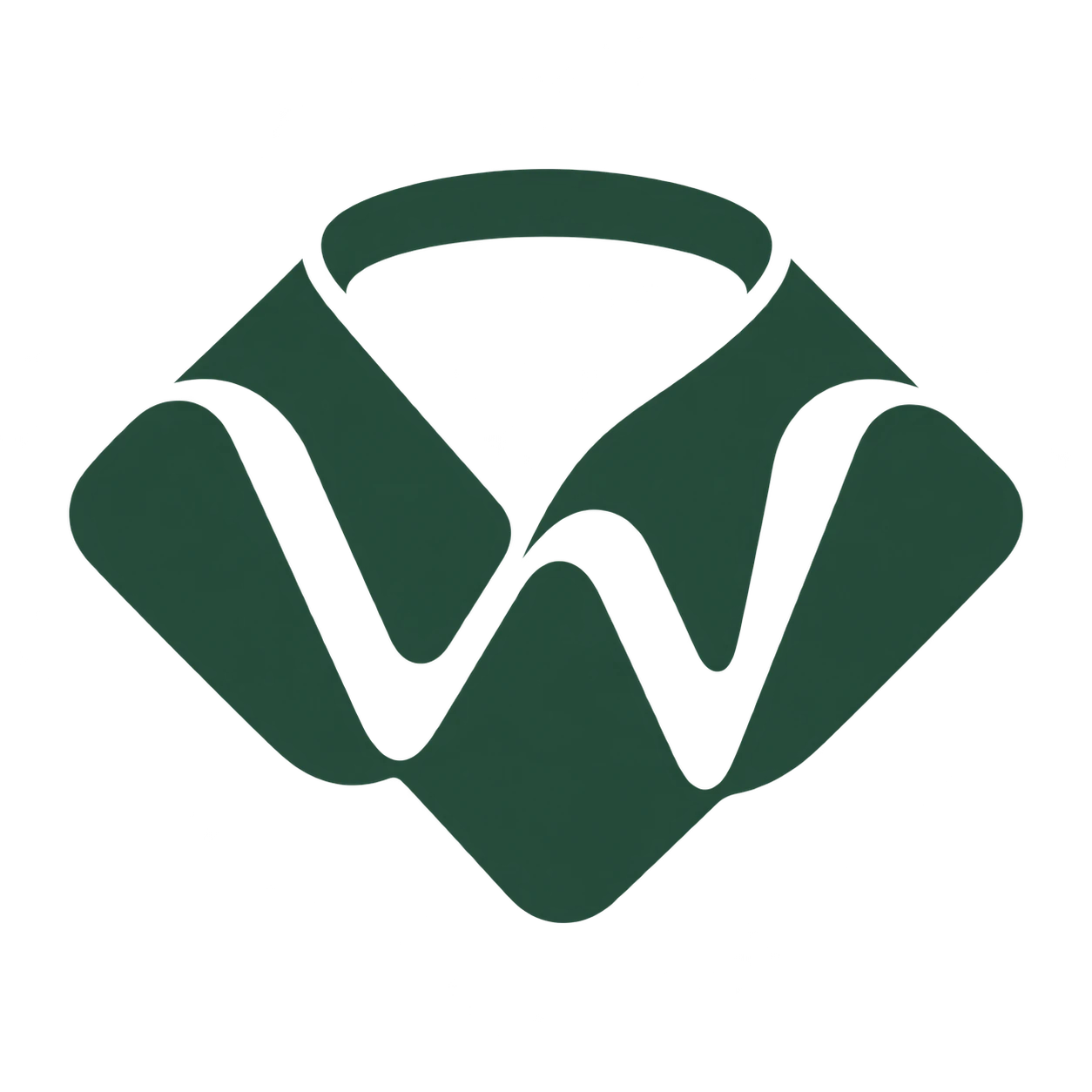 Voidwear logo