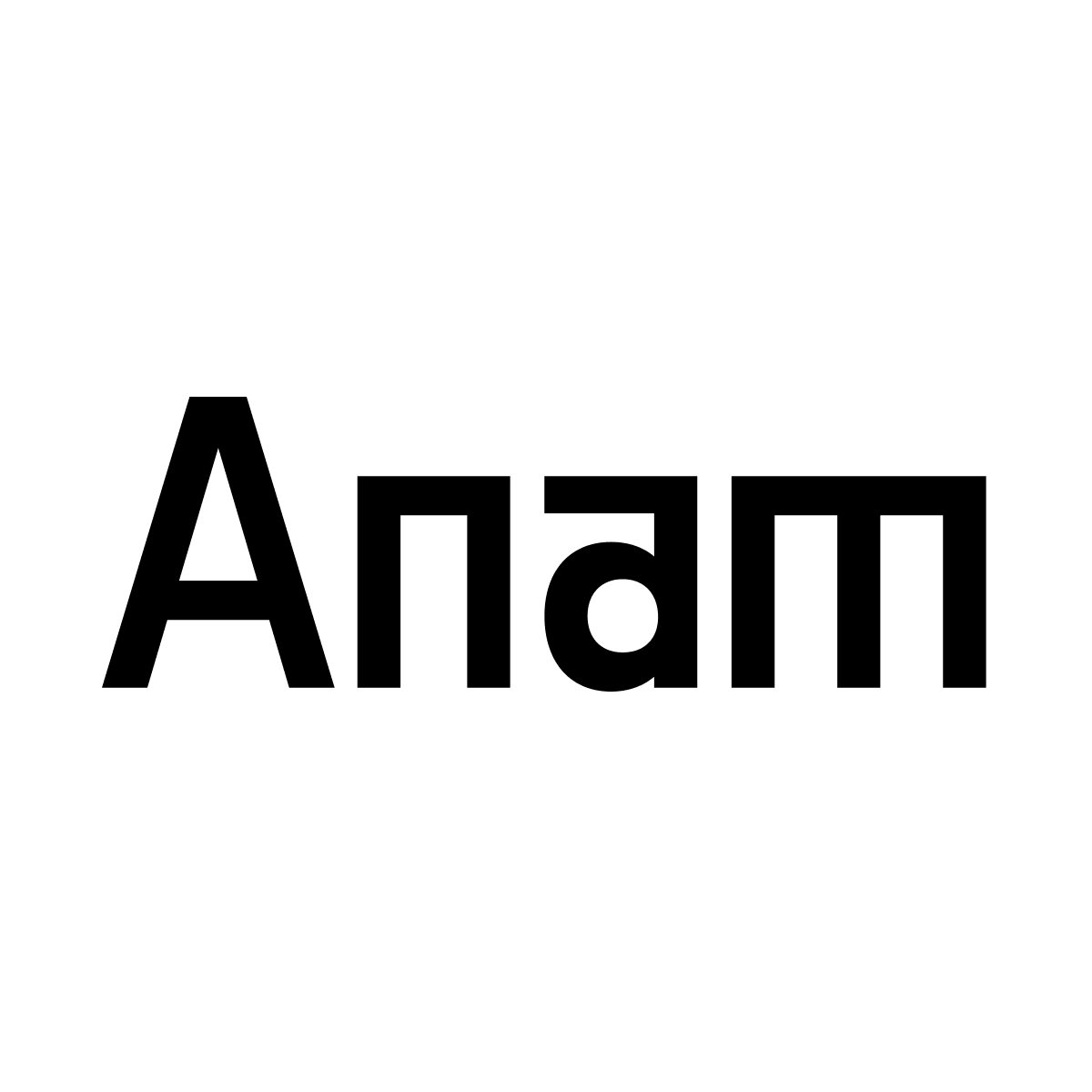 Anam logo