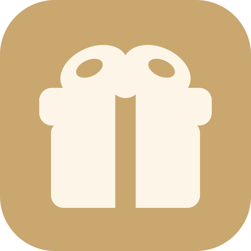RAYXIS Gifts logo