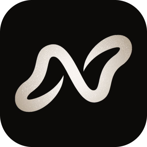 Noiz logo