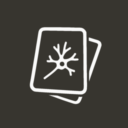MindDory: Vocabulary & Grammar logo