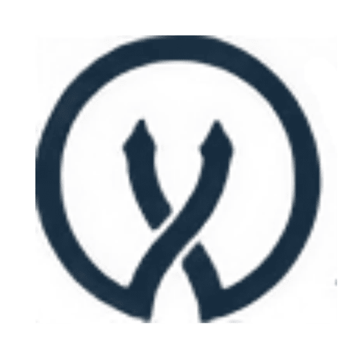 ViceVersa OST to PST Converter logo