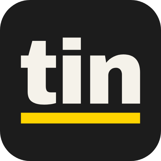 Tin Websites logo