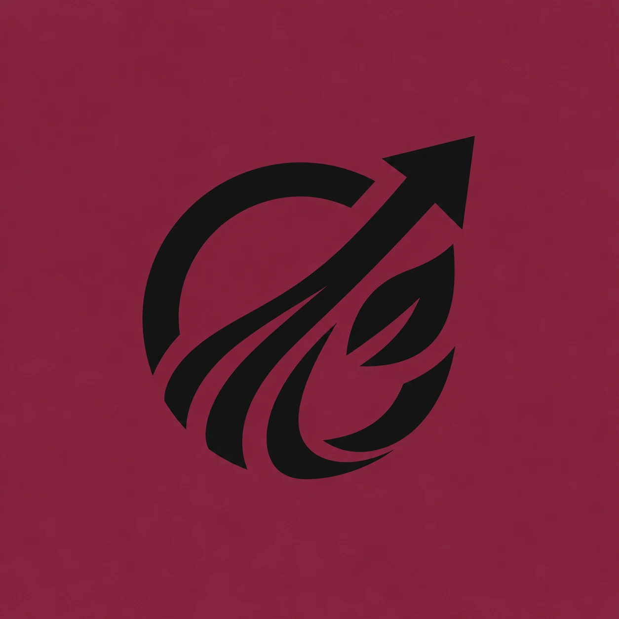 Casherra logo