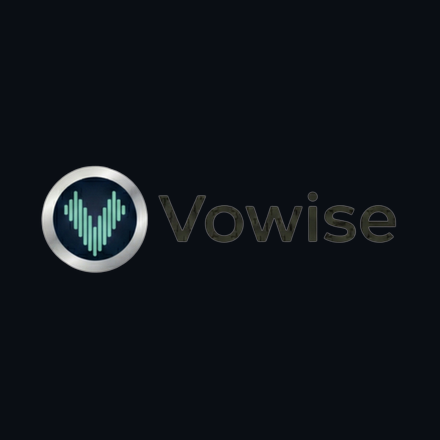 Vowise logo