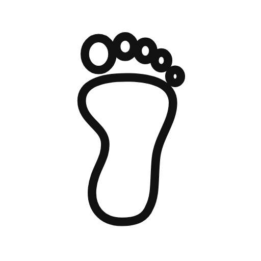 AEO Footnotes logo