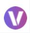 Viddo AI logo