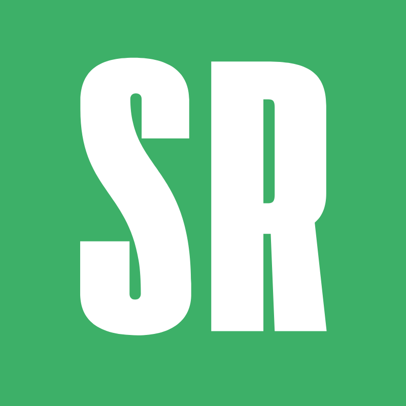 Strizzy Report logo