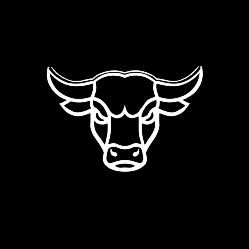 Bulltz logo