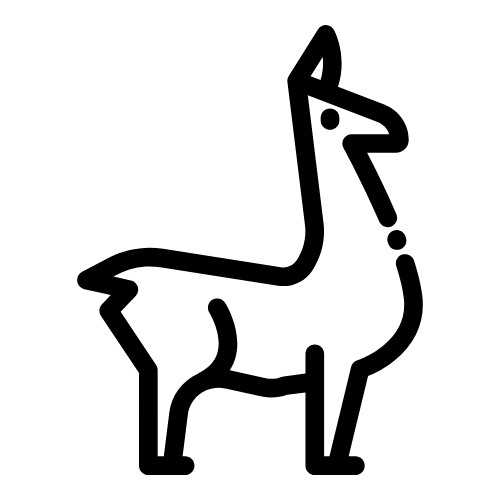 VideoLlama logo