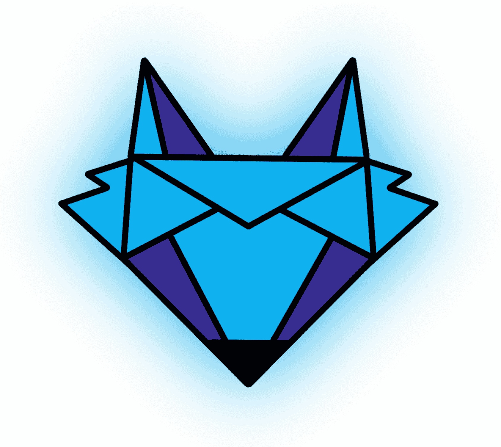 BlueFox Email logo