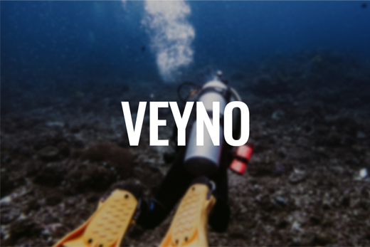 Veyno logo