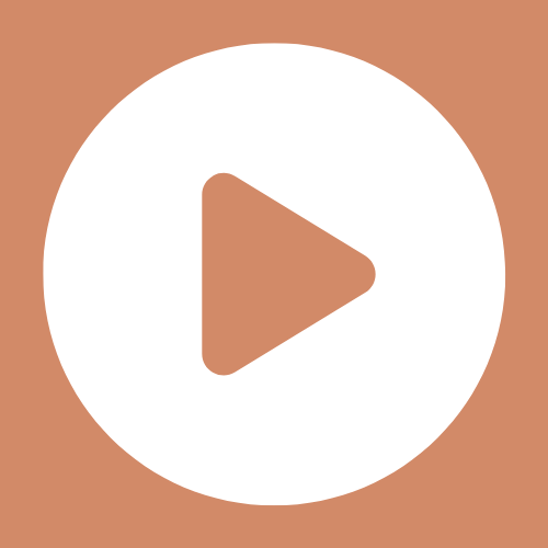 Veo3 JSON Prompt logo