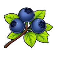 Blueberry Loom logo