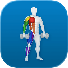 VigiGym - Workout Tracker logo