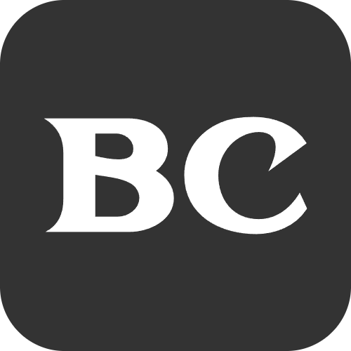 Bank Statement Converter AI logo