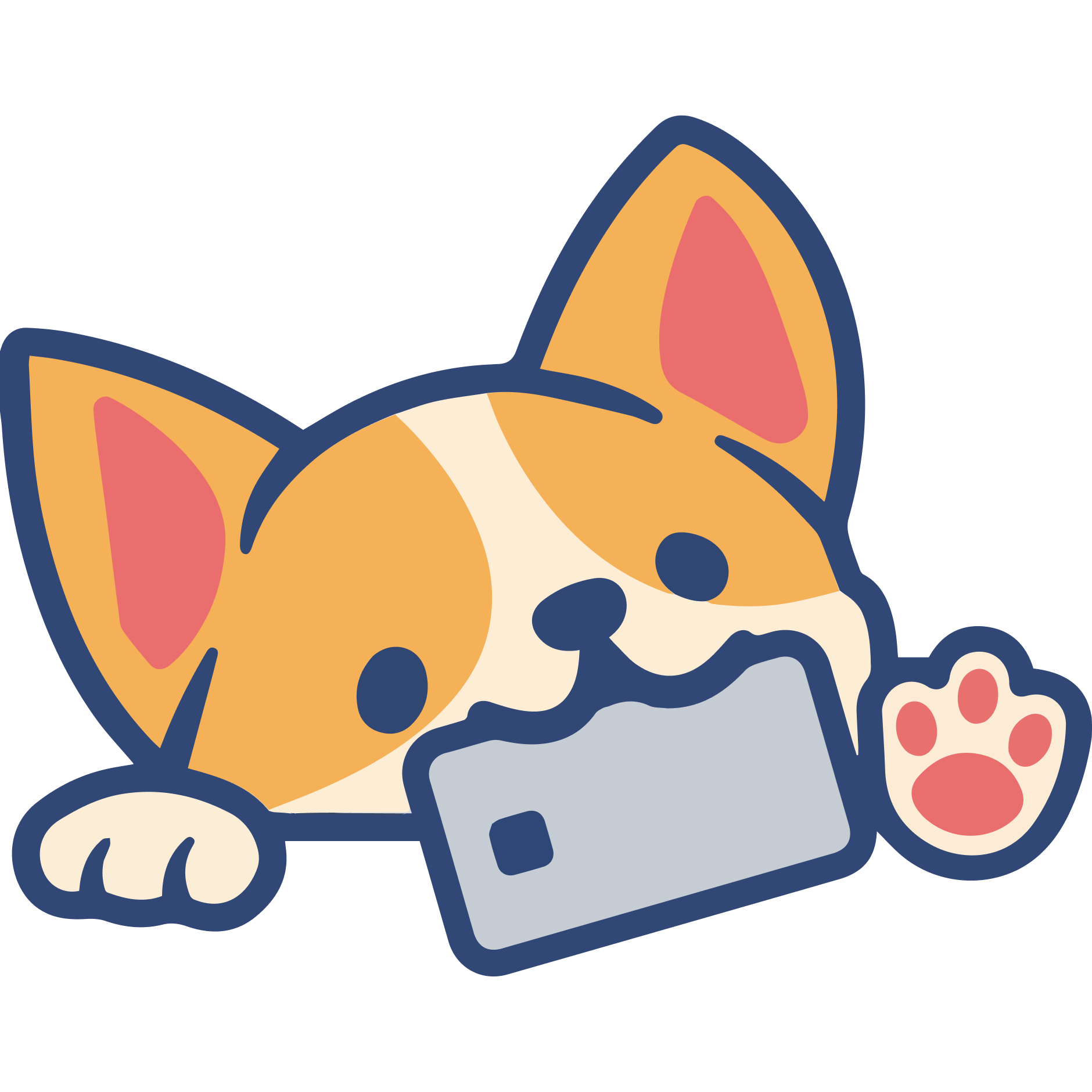 nextcard notifs logo