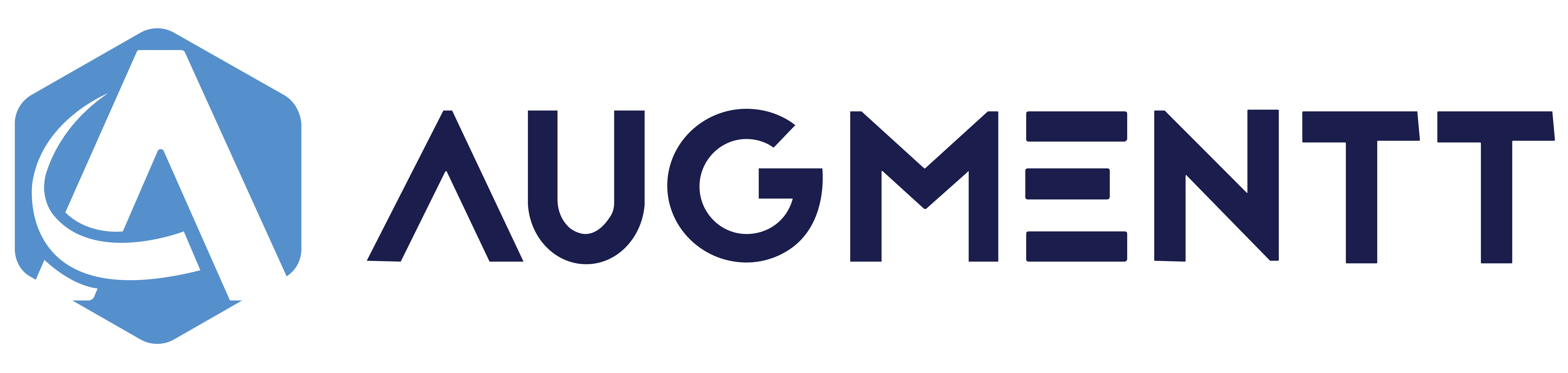 Augmentt logo